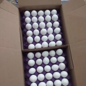 Caja cerrada de huevo generico ss con 22 kg